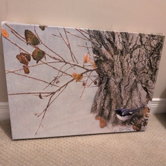 'Late Snow Warbler' Canvas Art by Chris Vest - Picture 2 of 4